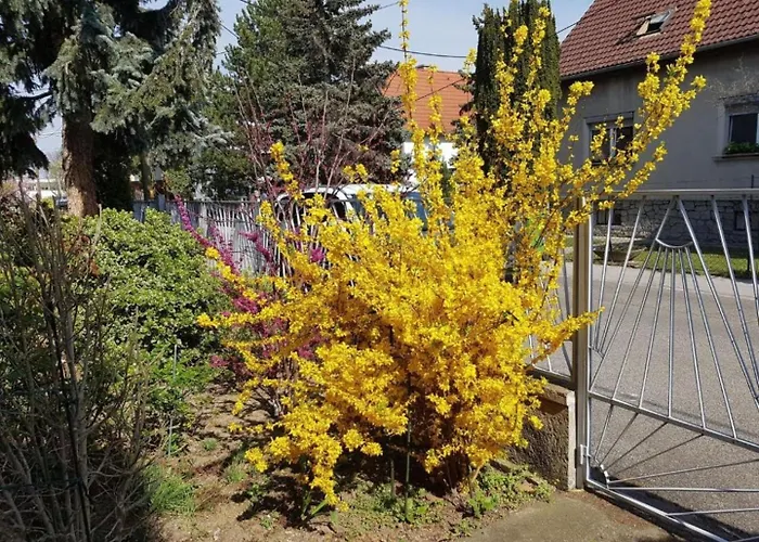 Garden Donau-city P&r * Viyana